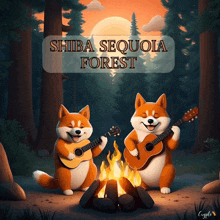 Stft Shiba Sequoia Forest GIF - Stft Shiba Sequoia Forest Music GIFs