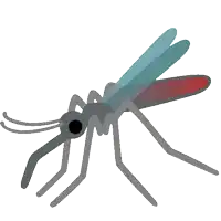 a mosquito with a blue wing and a red tail on a white background