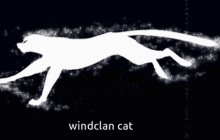 My Oc In Starclan Cat GIF