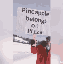 Pineapple Belongs On Pizza GIF - Pineapple Belongs On Pizza GIFs
