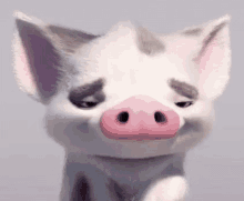 Moana Pig Pua Pua GIF - Moana Pig Pua Pua Pig GIFs