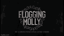 Flogging Molly GIF - Flogging Molly GIFs