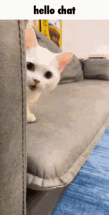 GIF
