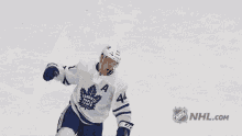 Toronto Nhl GIF - Toronto Nhl Hockey GIFs