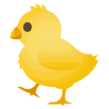 baby chick nature joypixels little chick yellow chick
