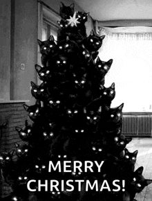 Cat Tree Spooky Christmas GIF - Cat Tree Spooky Christmas GIFs