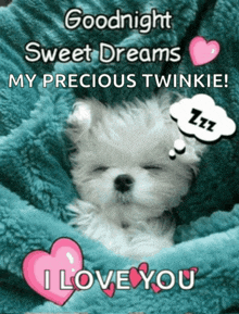 a puppy is sleeping on a blue blanket with a message that says goodnight sweet dreams my precious twinkie i love you