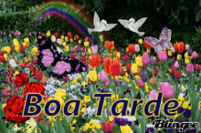 Boa Tarde Flores Do Campo GIF - Boatarde Borboleta Passarinho GIFs