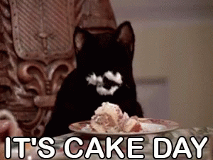300px x 226px - Cat Eating Cake GIFs | Tenor