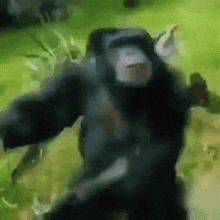 a painting of a chimpanzee standing in a field