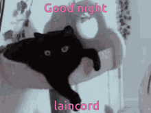 Jinx Cat Stretch GIF - Jinx Cat Stretch Good Night GIFs