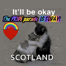 a picture of two cats hugging with the words it 'll be okay the pride parade is today scotland on the bottom
