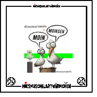 a cartoon of two seagulls standing next to each other with speech bubbles saying moin and moinsen .