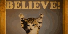 I Know That Sounds Like A Cat Poster - Vesuvius (Morgan Freeman) - The Lego Movie GIF