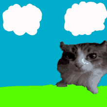 Cat Cat Meme GIF - Cat Cat Meme Cat Colorful GIFs