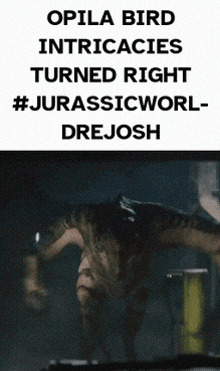 a picture of a dinosaur with the caption opila bird intricacies turned right #jurassicworld-drejosh