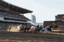 calgary stampede horse racing