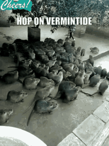 Hop On Vermintide GIF