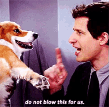 Taking Your Dog Out In Public GIF