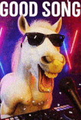 a horse wearing sunglasses is singing into a microphone with the words " good song " above it