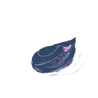 a black swan with pink feathers and a pink beak