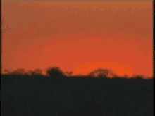 Sunrise GIF - Sunrise Sun GIFs