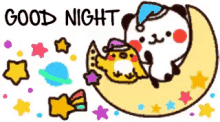 Good Night Panda GIF - Good Night Panda Chick GIFs