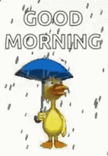 good morning rainy day cute duck umbrella