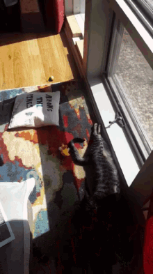Laying Funny GIF - Laying Funny Cats GIFs