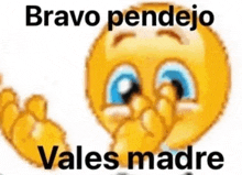 a cartoon smiley face with the words `` bravo pendejo vales madre '' on it .