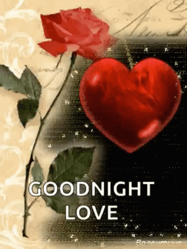 Good Night Love Flower Gif - Good Night Love Good Night Flower - Discover &  Share Gifs