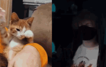 Ranboo Cat GIF - Ranboo Cat Ranboocat GIFs