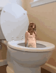 Lana Del Rey Plumbing GIF - Lana Del Rey Plumbing Toilet GIFs
