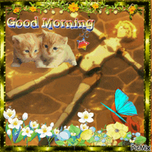 Good Morning Aigis GIF - Good Morning Aigis Cats GIFs
