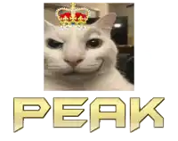 a picture of a cat with a crown on its head next to the word peak