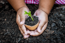 Plants Teaching GIF - Plants Teaching Earth Day GIFs