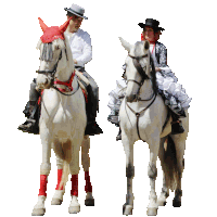 a man and a woman are riding white horses with red socks