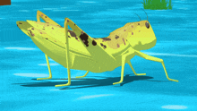 a cartoon grasshopper is walking on the water