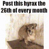 a picture of a dog with the words post this hyrax the 26th of every month above it