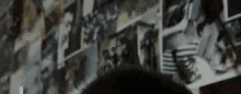 a person is standing in front of a wall of pictures .