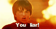 harry potter is making a funny face in front of a fire and says `` you liar '' .