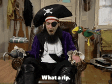 Patchy The Pirate Says What A Rip GIF - Patchy The Pirate Says What A Rip GIFs