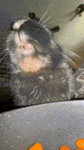 a close up of a cat covering its face with its paws