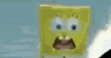 Meme Spongebob GIF