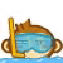 monkey swimming