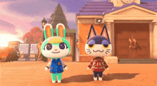 a rabbit and a cat are standing in front of a building
