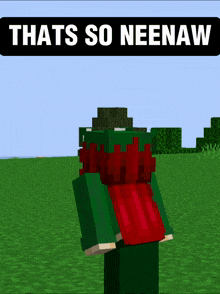Neenaw Minecraft GIF - Neenaw Minecraft GIFs