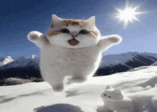 Cat Snow GIF