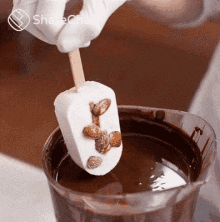 चॉकलेटमेंडुबोना आइसक्रीम GIF
