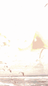 a painting of a woman surrounded by seagulls with the word hawaii on the bottom right corner